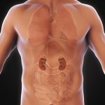 Nierpijn: oorzaken van pijn aan de nieren