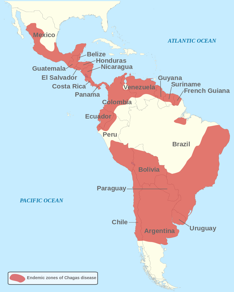 Endemisch voorkomen van de ziekte van Chagas in Midden- en Zuid-Amerika