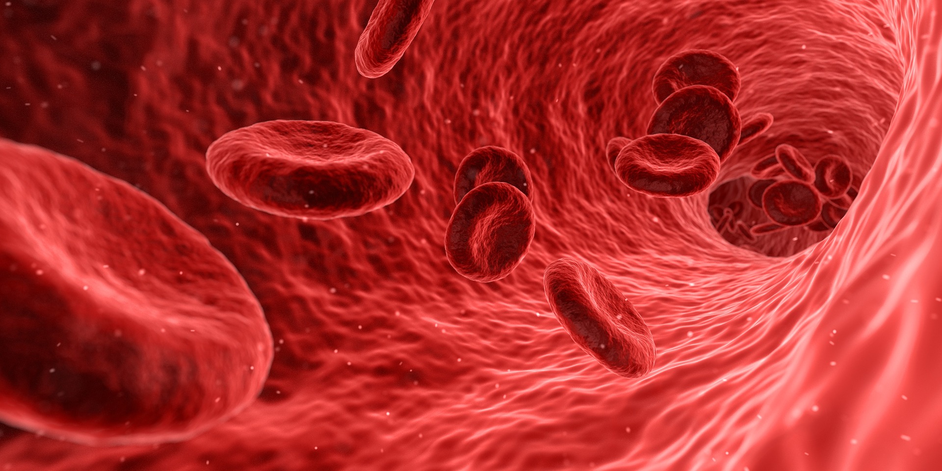 Rode bloedcellen
