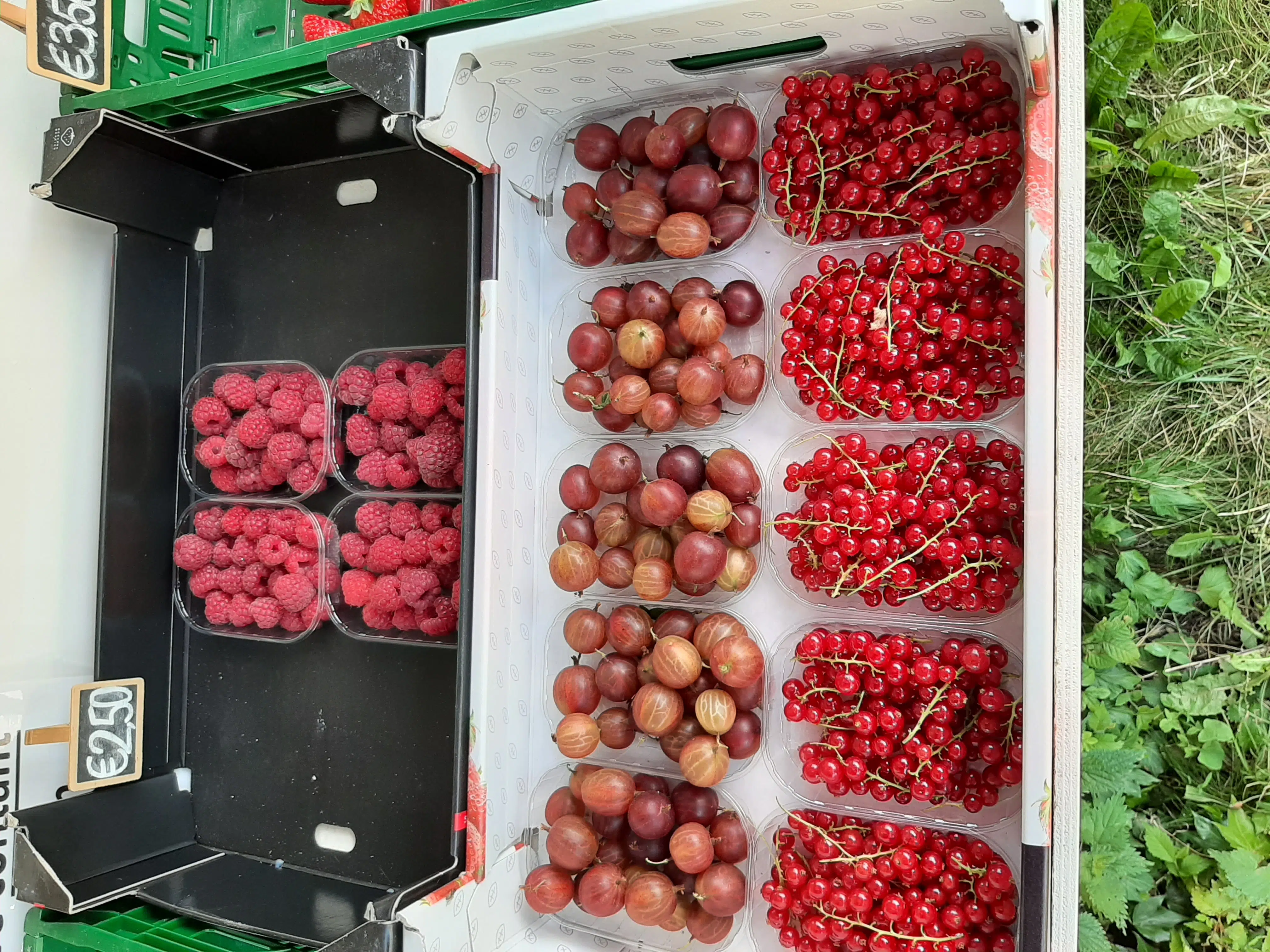Fruit (rode bessen, kruisbessen en frambozen) bij een fruitkraam