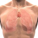 Thymuskanker: symptomen, oorzaak en behandeling