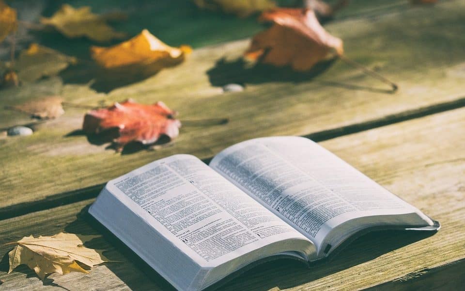 De afbeelding toont een open boek op een houten tafel, omringd door herfstbladeren. Het boek lijkt op een Bijbel, het heilige boek van het christendom.