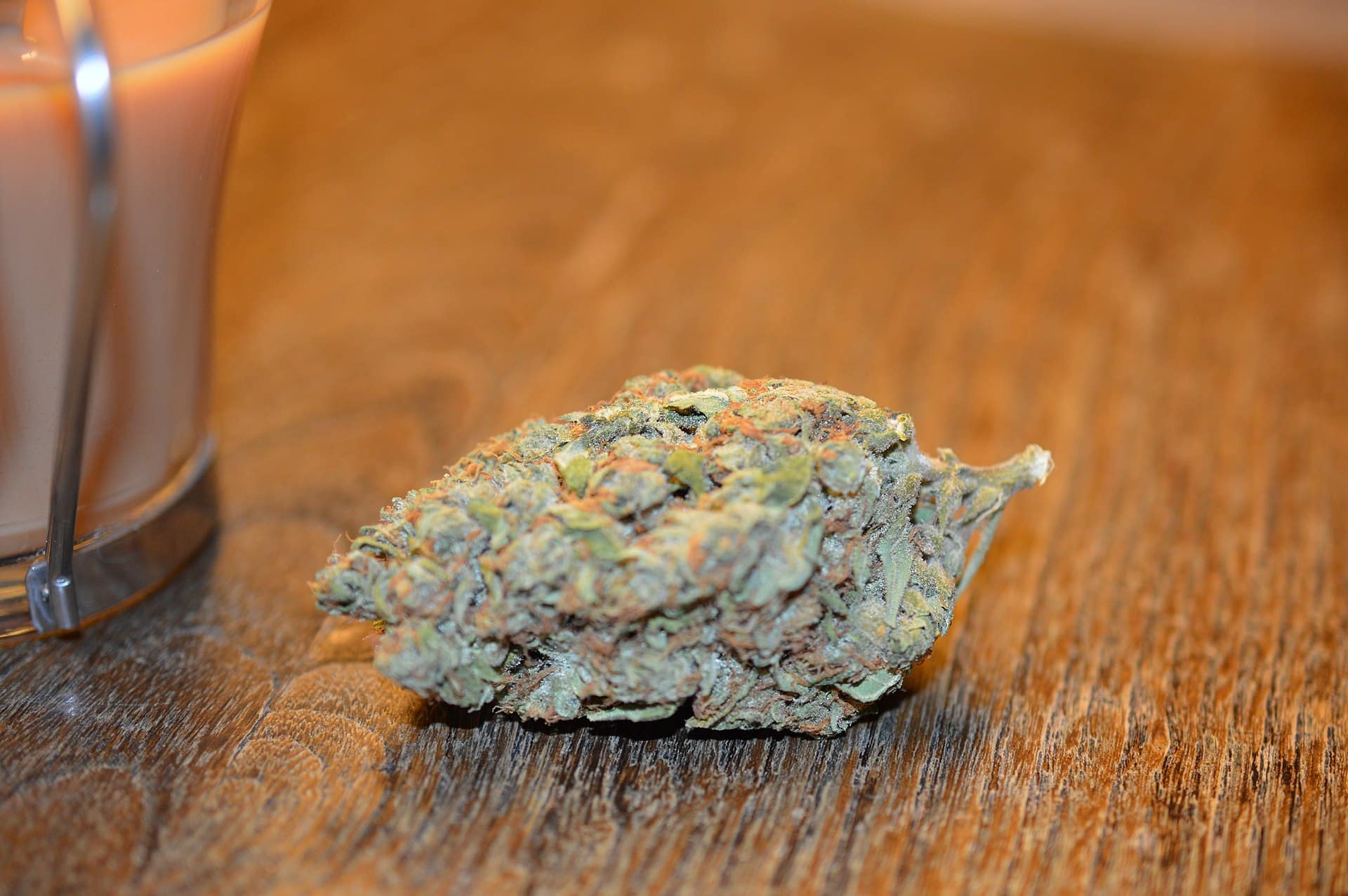 De afbeelding toont een gedroogde bloemtop van de cannabisplant.