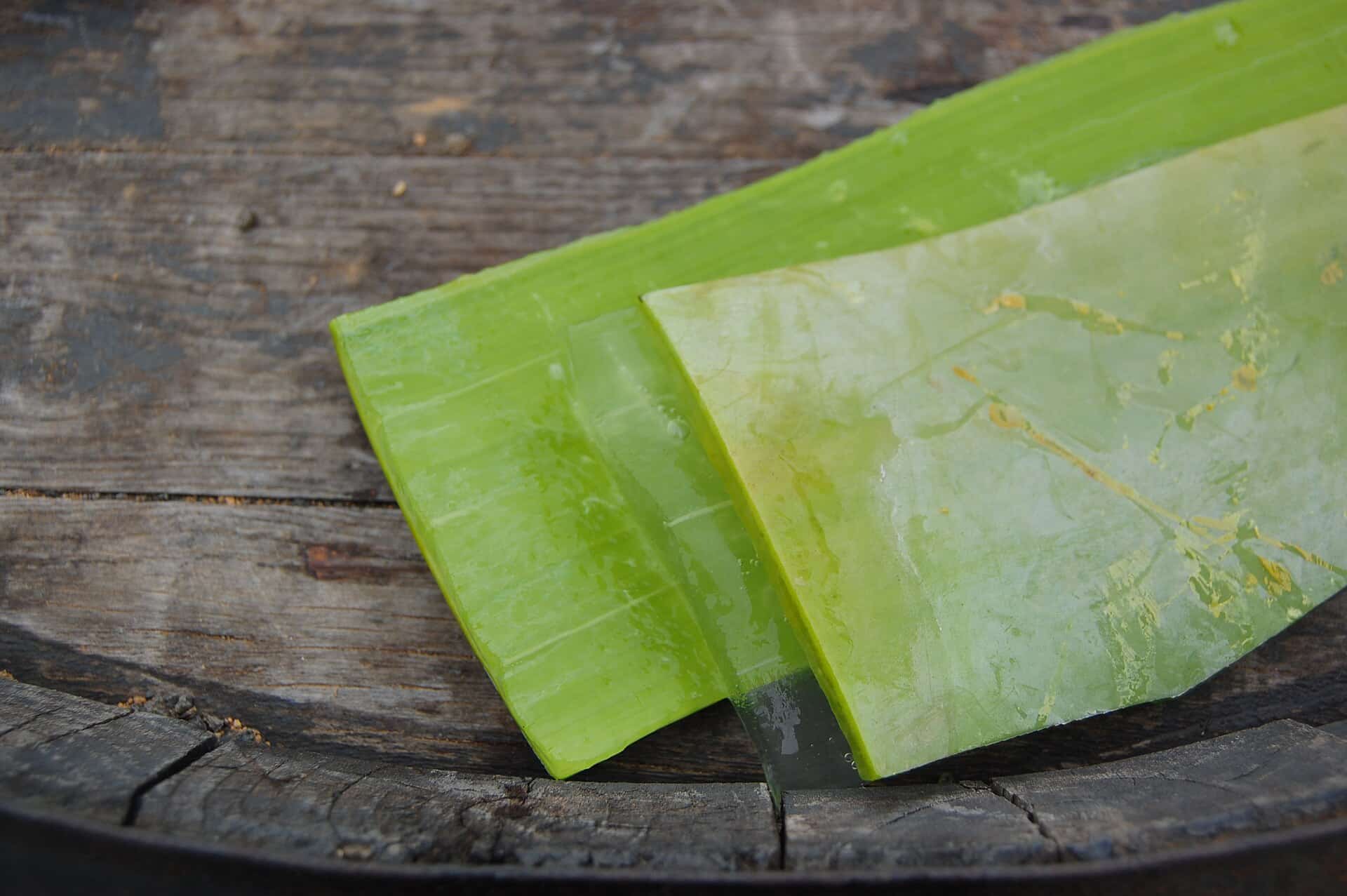 Dit is een blad van de aloë vera plant.