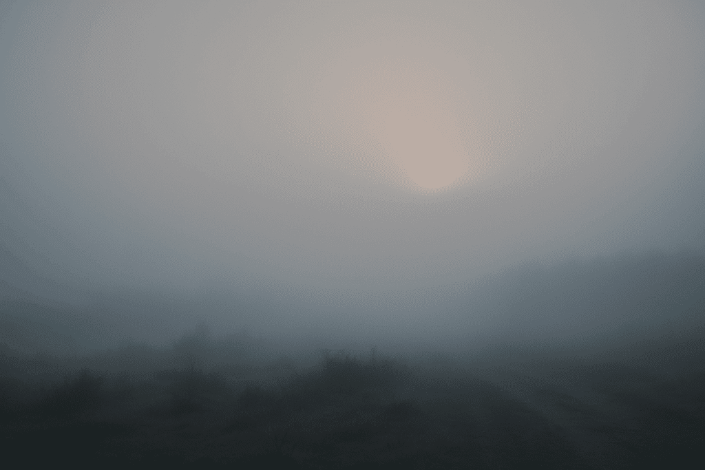 Mistig landschap bij dageraad met zacht licht dat door de nevel breekt; symbolisch voor het zoeken naar waarheid en orde te midden van verwarring.