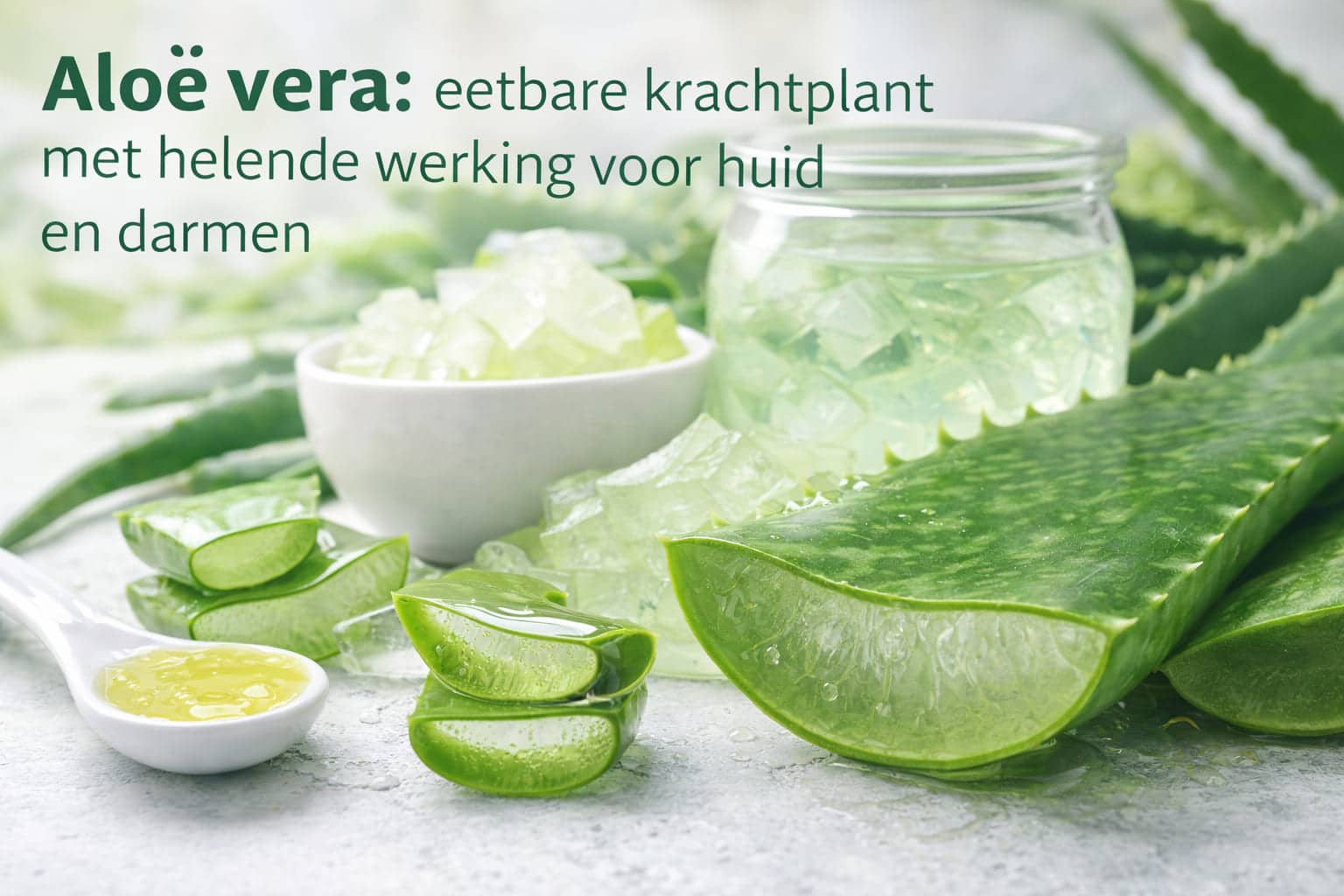 Aloë vera bladeren met verse aloë-gel en blokjes gel in een schaaltje, illustratie van de eetbare toepassing van aloë vera voor huid en darmen.