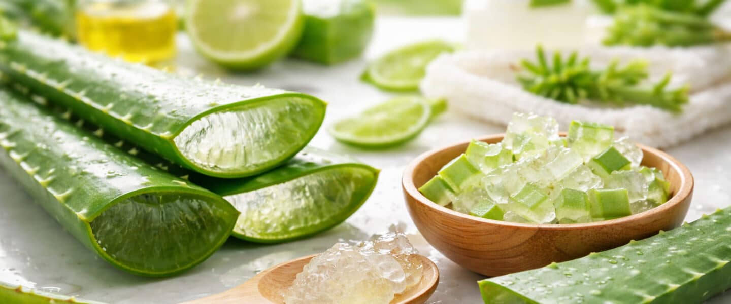Vers gesneden aloë vera bladeren met zichtbare gel en blokjes aloë in een houten schaaltje, gebruikt voor huidverzorging en darmgezondheid.