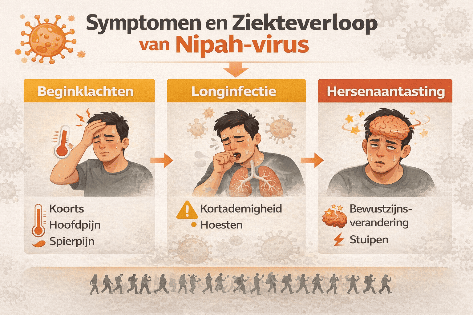 Infographic in het Nederlands die het ziekteverloop van een Nipah-infectie toont, met beginklachten, longinfectie en hersenaantasting, inclusief kernsymptomen per fase.