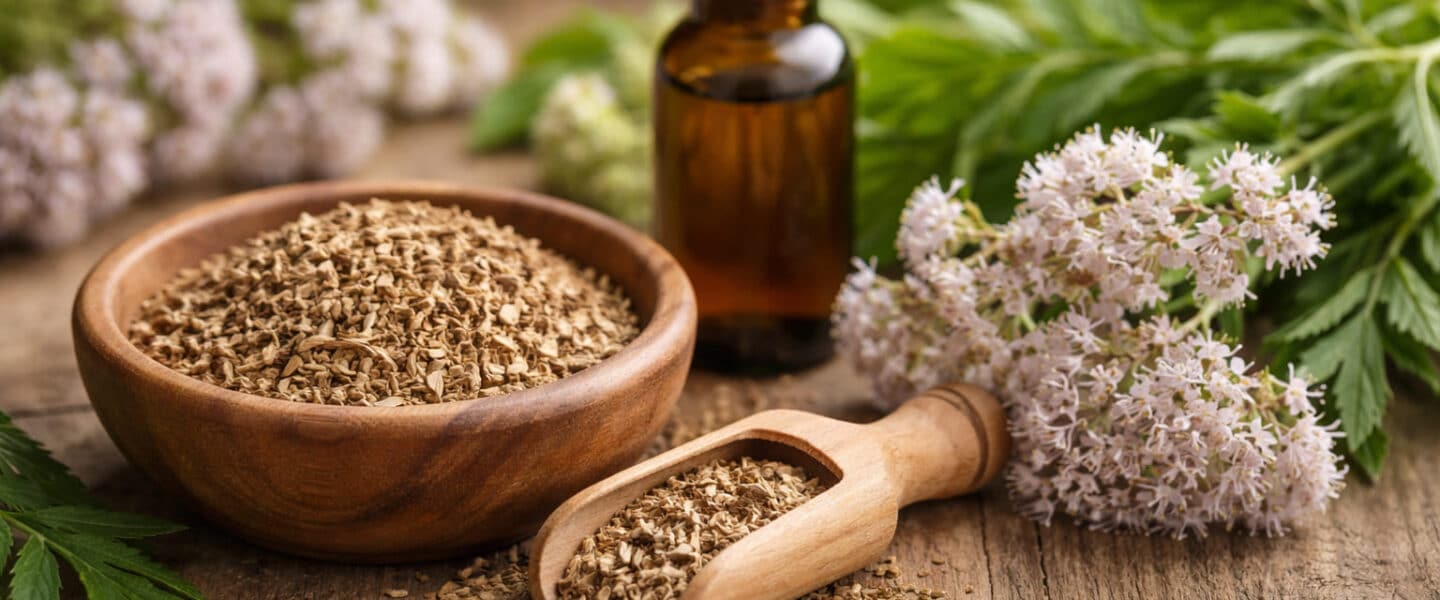 Valeriaanwortel met bloemen en tinctuurfles op houten ondergrond, rustgevend kruid gebruikt bij stress en slaapproblemen.