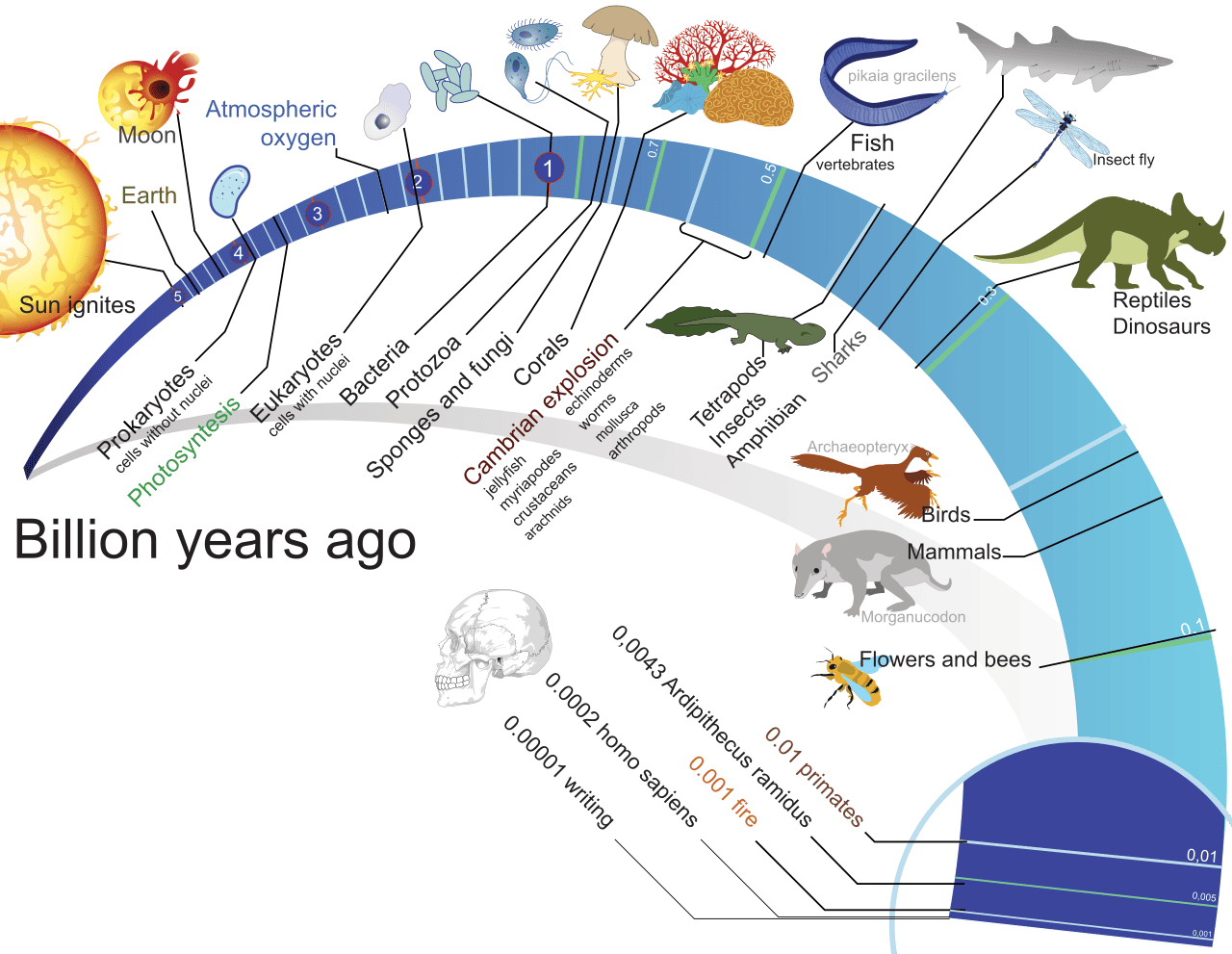 Infografische tijdschaal van de evolutie van het leven met logaritmische weergave, van ontstaan van aarde en eerste micro-organismen tot vissen, dinosauriërs, zoogdieren en de mens.